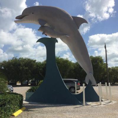 Dolphin Research Center, Marathon, Florida